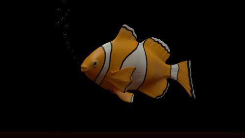 Clown Fish preview image